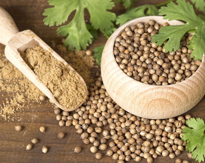 Coriander Seeds